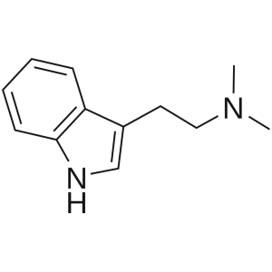 DMT